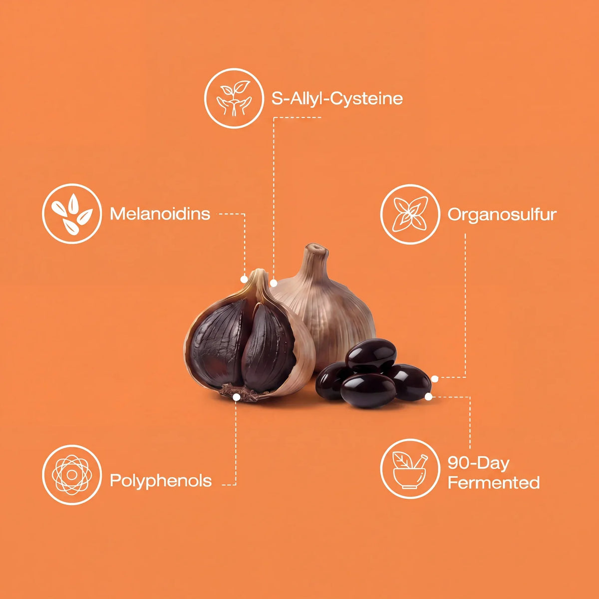 Black Aged Garlic Extract Softgels