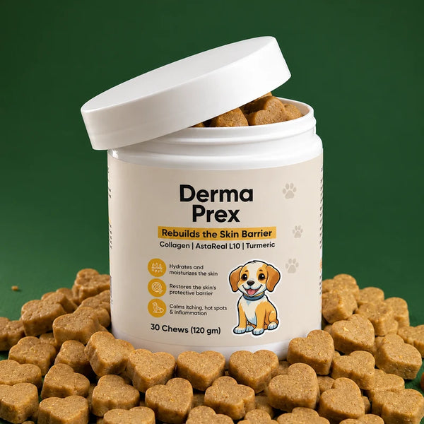 Skin & Coat Chews for Dogs - Daily Omega Support, Salmon Flavour