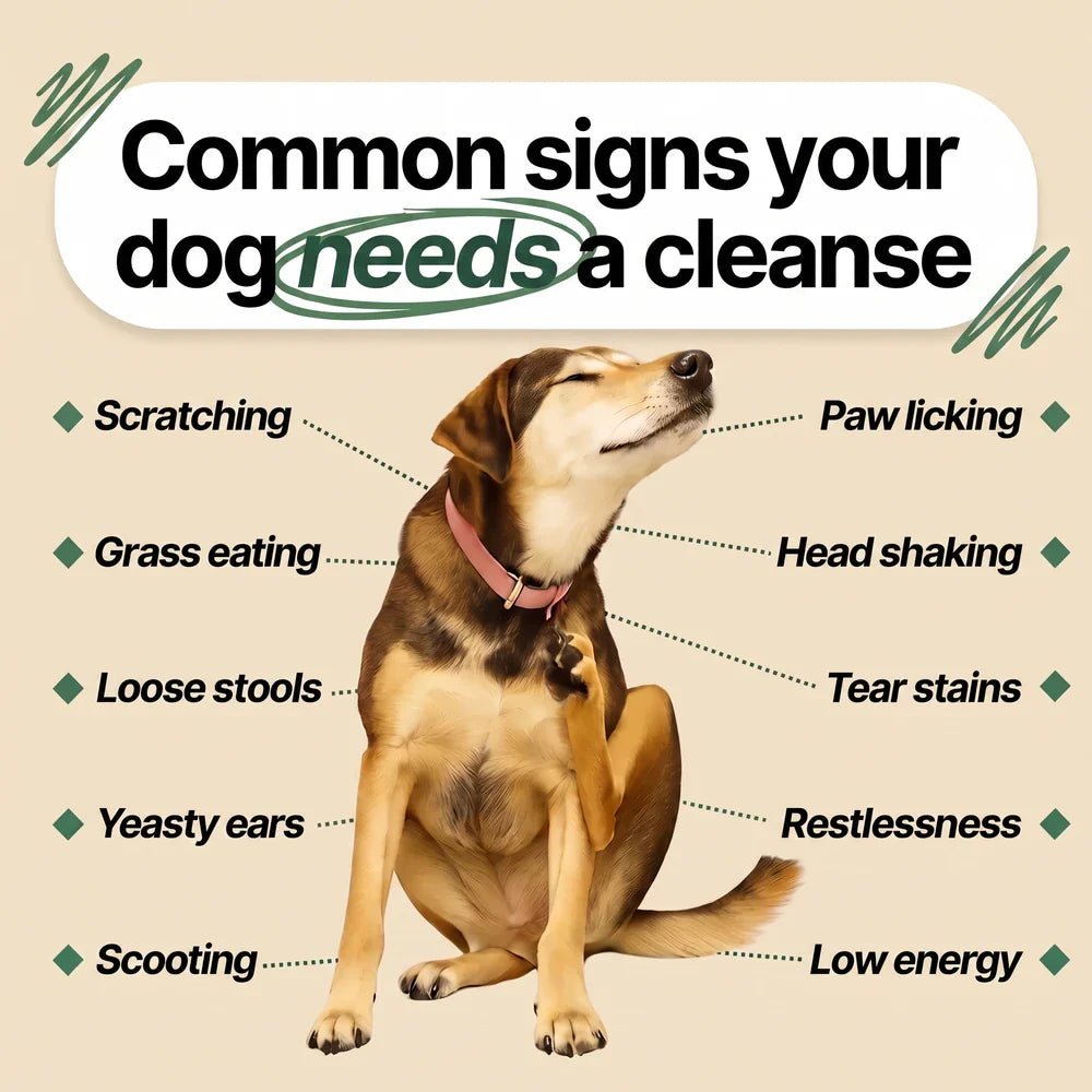 Parasite Cleanse Drops for Dogs