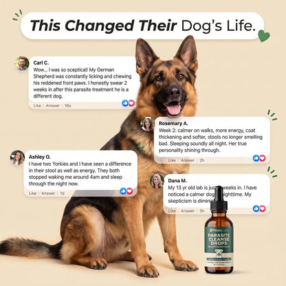 Parasite Cleanse Drops for Dogs