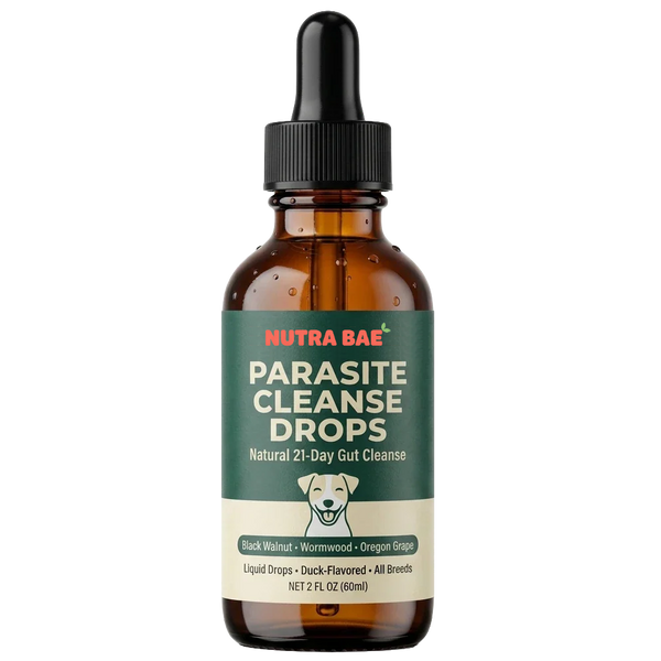 Parasite Cleanse Drops for Dogs